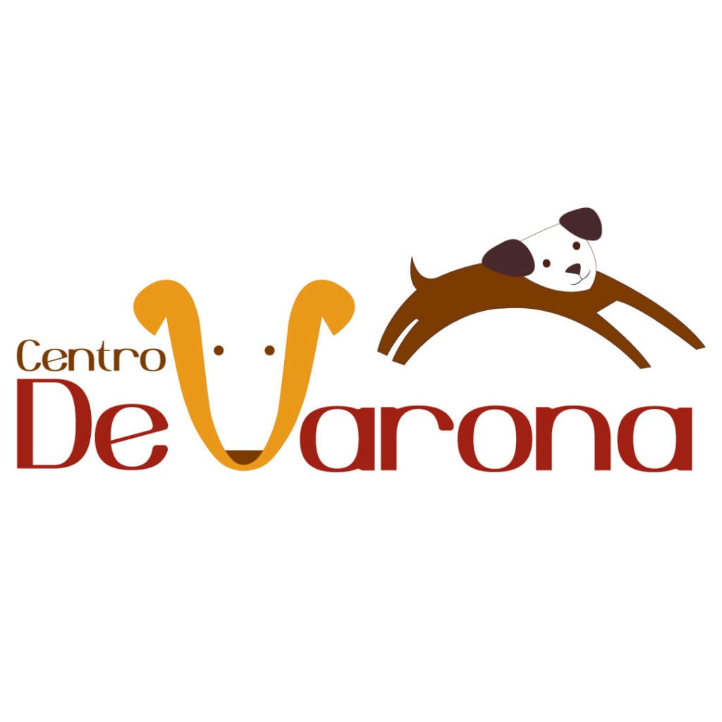 Centro De Varona el centro de entrenamiento para tu perro